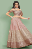 Dusty Pink Cotton Silk Embroidered Panelled Style Lehenga 