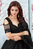 Embroidered Black Net Saree With Net Blouse