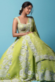Embroidered Chinnon Silk Pear Green Lehenga