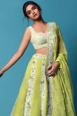 Embroidered Chinnon Silk Pear Green Lehenga