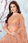 Embroidered Coral Peach Net Saree With Net Blouse