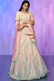 Embroidered Cream Organza Panelled Style Lehenga