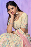 Embroidered Cream Organza Panelled Style Lehenga