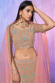 Embroidered Dusty Mauve Georgette Panelled Style Lehenga