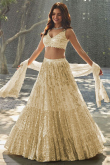 Embroidered Georgette Ivory Lehenga