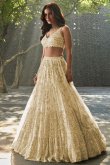 Embroidered Georgette Ivory Lehenga