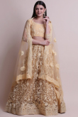 Embroidered Net Beige Lehenga with Resham Thread Work