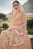Embroidered Net Dusty Peach Lehenga