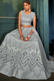 Embroidered Net Fancy Lehenga In Grey