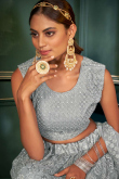 Embroidered Net Fancy Lehenga In Grey