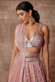 Embroidered Organza Panelled Lehenga In Light Peach 