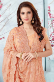 Embroidered Peach Net Saree With Net Blouse