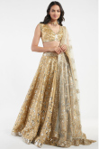 Embroidered Tissue Gold Lehenga