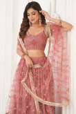 Flared Net Brick Red Lehenga with Mirror Work 