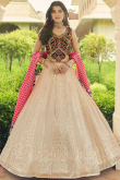 Georgette Light Beige Embroidered Panelled Style Lehenga