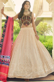 Georgette Light Beige Embroidered Panelled Style Lehenga