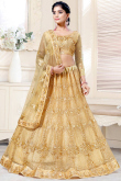 Gold Net Embroidered Indian Lehenga 