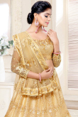 Gold Net Embroidered Indian Lehenga 