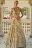 Net Lehenga in Gold colour with Resham Embroidery for Sangeet