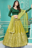 Gota Patti Embroidered Georgette Pear Green Lehenga