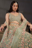 Greenish Grey Embroidered Net Panelled Style Lehenga