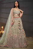Greenish Grey Embroidered Net Panelled Style Lehenga