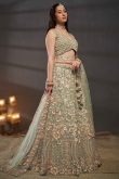 Greenish Grey Embroidered Net Panelled Style Lehenga