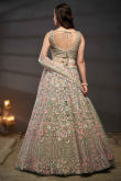 Greenish Grey Embroidered Net Panelled Style Lehenga