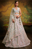 Greenish Grey Net Dori Embroidered Panelled Style Lehenga