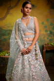 Greenish Grey Net Dori Embroidered Panelled Style Lehenga