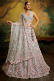 Greenish Grey Net Dori Embroidered Panelled Style Lehenga