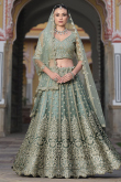 Greenish Grey Net Embroidered A Line Lehenga 