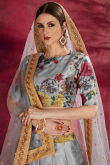 Grey Banglori Silk Lehenga with Banglori Silk Choli
