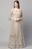 Grey Beige Net Dori Embroidered Lehenga