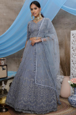Grey Net Party Wear Lehenga Choli