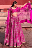 Hot Pink Silk Dori Embroidered Panelled Style Lehenga