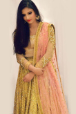 Golden Net Lehenga with Brocade Choli 