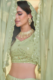 Indian Pistachio Green Georgette Sequins Embroidered Lehenga