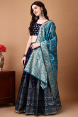 Indigo Blue Silk Woven Zari Panelled Style Lehenga