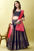Indigo Blue Woven Zari Art Silk Panelled Style Lehenga