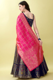 Indigo Blue Woven Zari Art Silk Panelled Style Lehenga