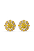 Yellow Stone Studded Stud Earrings