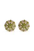  Stone Studded Earrings Studs
