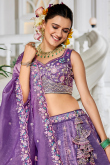 Lavender Purple Tissue Embroidered Panelled Style Lehenga For Wedding