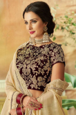 Light Beige Net Embroidered Lehenga