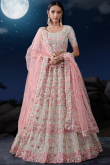 Light Beige Net Embroidered Wedding Wear Lehenga