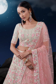 Light Beige Net Embroidered Wedding Wear Lehenga