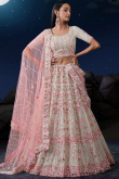 Light Beige Net Embroidered Wedding Wear Lehenga