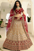 Light Beige Silk Lehenga With Velvet Choli
