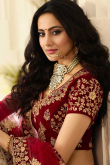 Light Beige Silk Lehenga With Velvet Choli